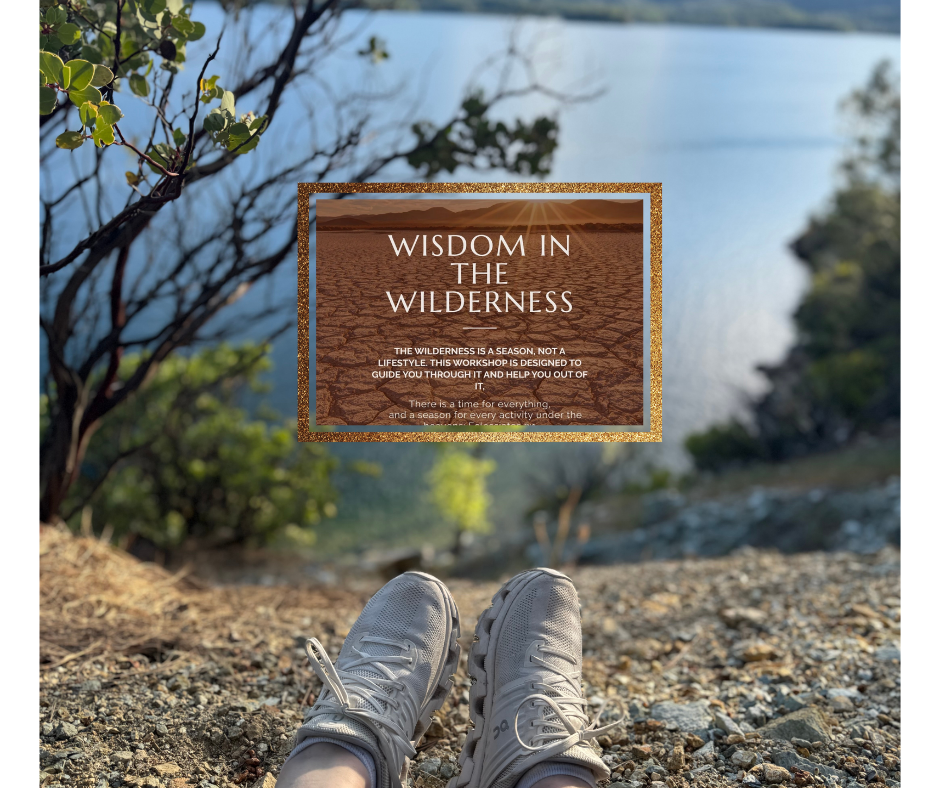 Wisdom in The Wilderness-Finding Clarity When God Changes Your Direction
